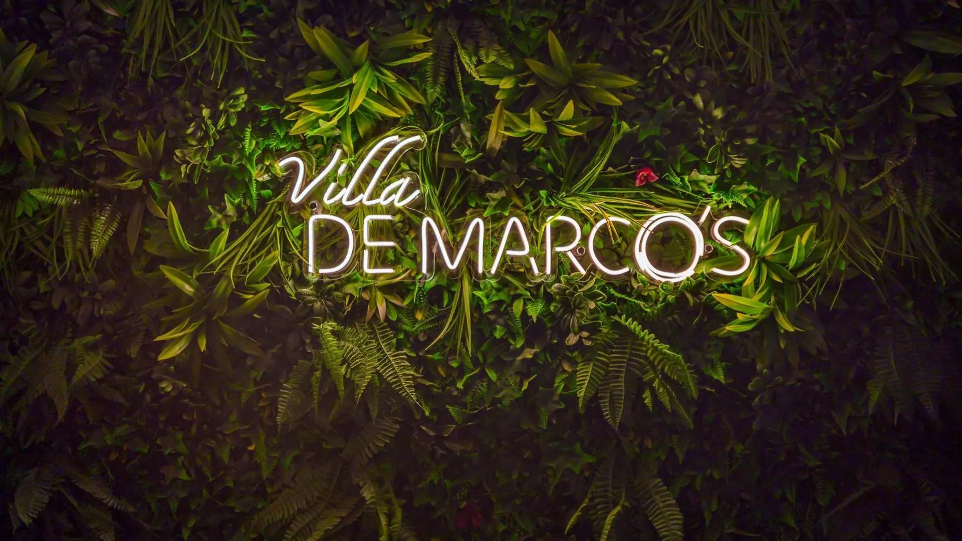 Villa De Marcos Alojamiento De Lujo Con Piscina Privada Arona